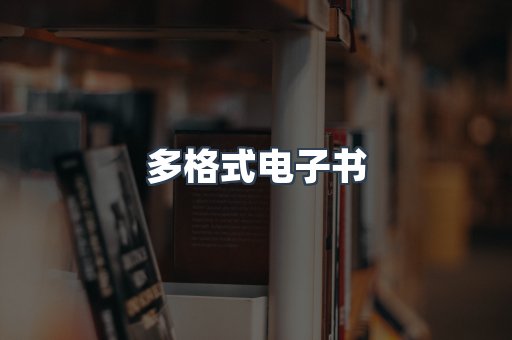 海外电子书